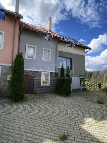 Київська область, Петропавлівська Борщагівка