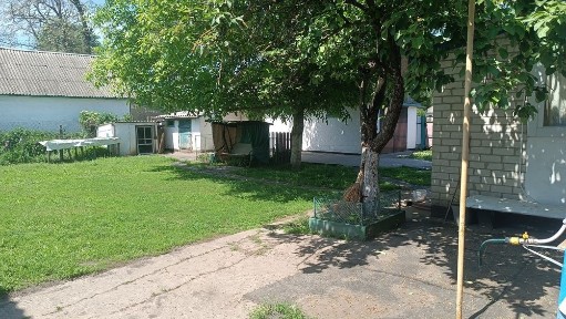 Київська область, Любарці