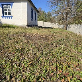 Затишний будинок близько до столиці