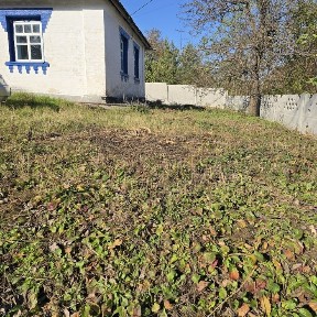 Затишний будинок близько до столиці