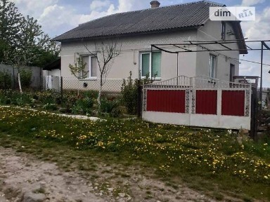 Косів, вулиця 8-го Березня • ID 34586132