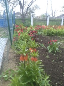 Паліївка, Центральна • ID 34585366