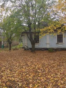 Продам будинок в мальовничому селі Печера