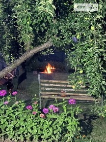 вулиця Центральна, Петрик, вул. Центральна • ID 34593599