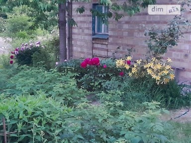 Старі Безрадичі, вулиця Зелена • ID 34593563