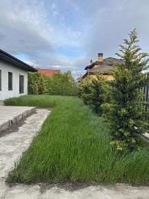 Одеська область, Ліски