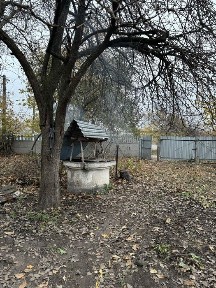 Будинок з городом