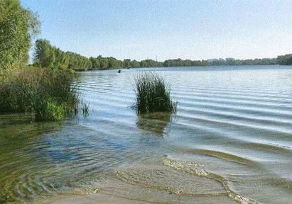 Продаю свій дачний будинок Устье Десни (Осещина)