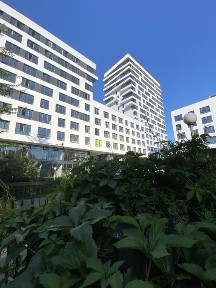 Продаж 2 кіматна квартира Шевченківський район | зданий будинок