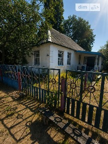 Синиця, Шевченка • ID 34597436