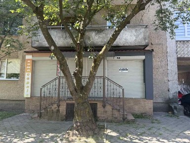 Мукачево, вулиця Карпенка-Карого 24Б