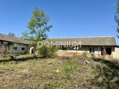 Закарпатська область, Онок