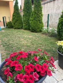 Аренда большого дома 300 м 6 к под жилье или бизнес, подвал, животных культурных можно! Парковка