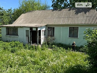 вулиця Незалежності, Сквира, вул. Незалежності • ID 34598315