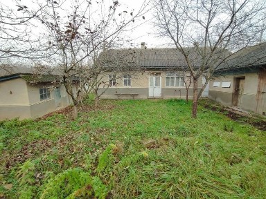 Чернівецька область, Чернівці