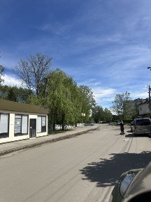 Івано-Франківська область, Тисмениця