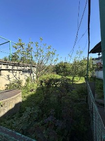 Закарпатська область, Ужгород