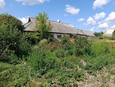 Київська область, Мельниця