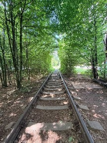Рівненська область, Рівне