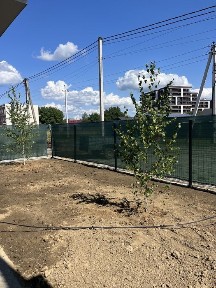 Закарпатська область, Ужгород