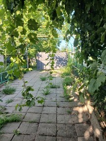 Здається великий будинок Балабине