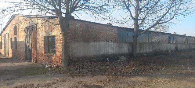 Волинська область, Зміїнець