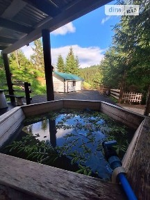 Центральна вулиця, Синевирська Поляна, вул. Центральна, 1 кімната, спальних місць - 2 34436394