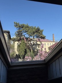 Оренда світлого Open-Space (50 м²) в історичному центрі (Замкова гора)