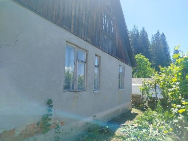 Будинок в Карпатах, у центрі селища