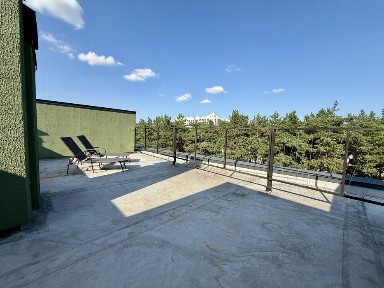 Нова сучасна квартира з мінімальним оформленням. Вид на зелену зону