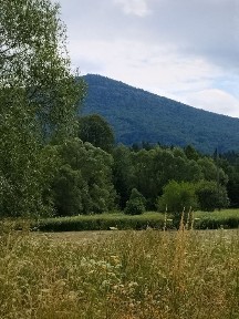 Івано-Франківська область, Вигода