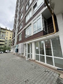 Львівська область, Львів, Шевченківський