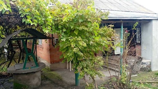 Продаж житлового будинку