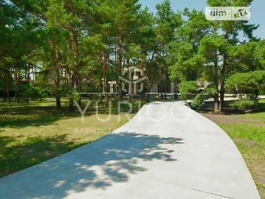 Лісова вулиця, Романків, вул. Лісова • ID 34614805