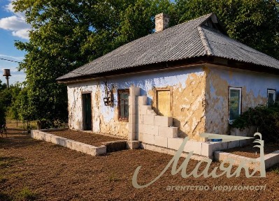 Київська область, Київ, Голосіївський