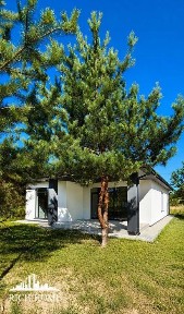 Київська область, Білогородка