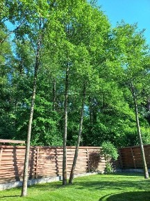 ПРОДАЖ 2 поверхового будинку в закритому КМ Summerville Білогородці