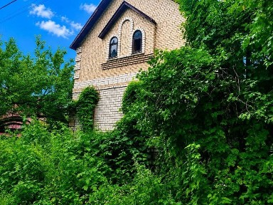 Київська область, Мироцьке