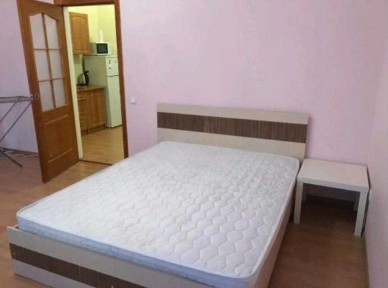 Продам однокомнатную квартиру с ремонтом в спецпроекте/Центр/Привоз