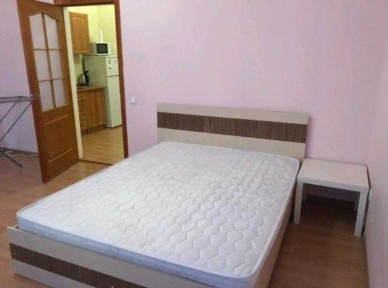 Продам однокомнатную квартиру с ремонтом в спецпроекте/Центр/Привоз