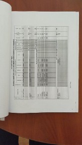 Продам чудовий будинок з ремонтом