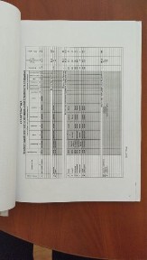 Продам чудовий будинок з ремонтом
