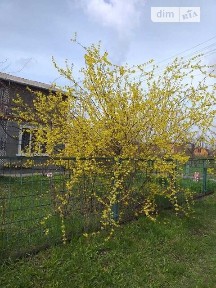 Айвова вулиця, район Подільський, Полтава, вул. Айвова • ID 34619588