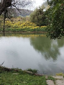 Закарпатська область, Оріховиця