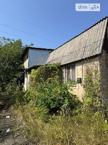 Блиставиця, Лісове • ID 34621555