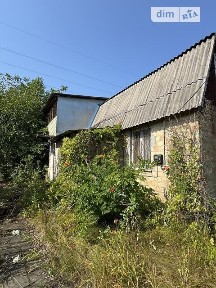 Блиставиця, Лісове • ID 34621555