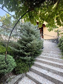 Закарпатська область, Ужгород