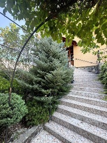 Закарпатська область, Ужгород