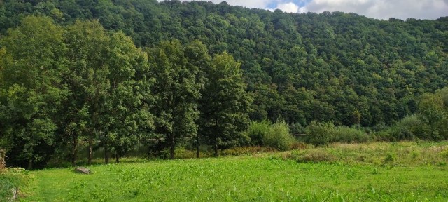 Будинок для бізнесу і відпочинку