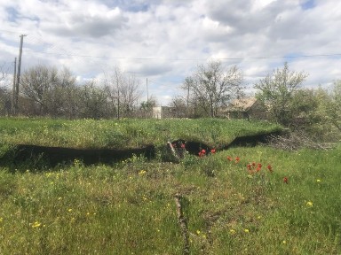 Дніпропетровська область, Кривий Ріг, Покровський